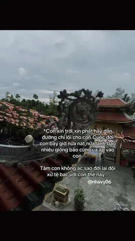 Tâm con không ác sao đời lại đối xử tệ bạc với con thế này..!#nhavy06 #xuhuongtiktok 