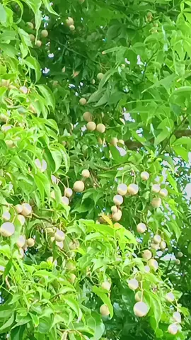 থমকে গেল স্বপ্ন গুলো, হঠাৎ যেন কিভাবে 💔💔💔 #fypシ゚viral🖤 #foryoupage #fypシ゚viralシ #foryoupage❤️❤️❤️foryou💞💞💜viral💕foryou #chandpur❤️❤️❤️ #chittagong #Bangladesh🇧🇩👍🇧🇩 