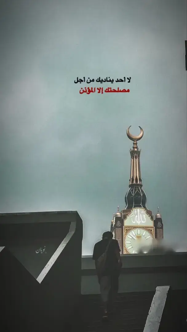 #أفلاطون #🎵🎻🎻🎻🎵 