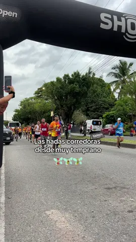 Hadas runners 🧚🏼‍♀️🧚🏻‍♂️✨ #fyp #fyppppppppppppppppppppppp #hadas #hadascorredoras #viralvideos #Running #maraton #paratii #runner #tinkerbell #humortiktok #humor #hadas🧚‍♀️ #run #10K #tinkerbellmovies #foryoupage #challenge 