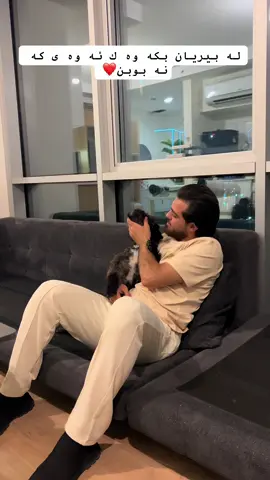 #CapCut #kurdistan #vip #shexbazhdarmirany #mirani 