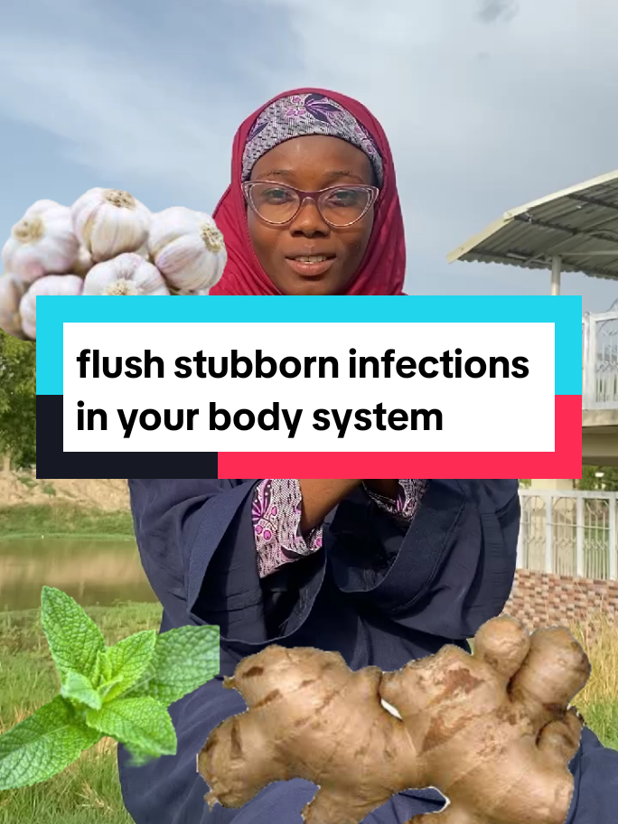 #infection#goviral #arewa__tiktok #arewa__tiktok #fypシ゚ #fyp #stubborn#creatorsearchinsights @M G I Initiative 