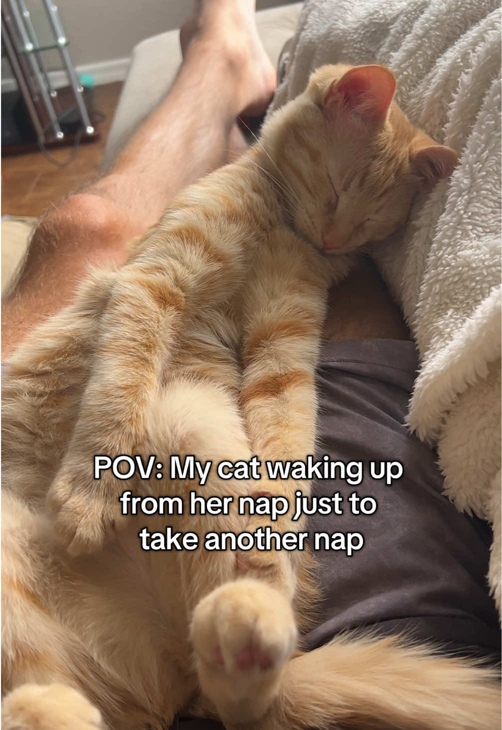 She’s exhausted from all that napping #cats 
