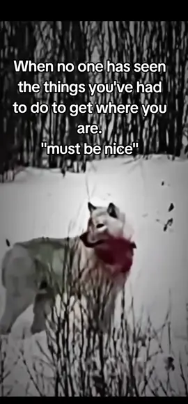For entertainment purposes only. must be nice. I'm sure this video will be restricted.