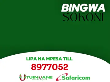 BINGWA SOKONI 