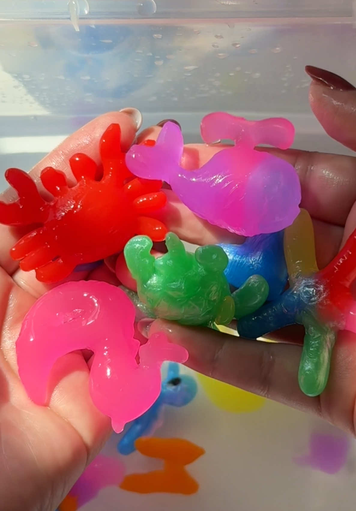 Kiditos Magic Water Elf Water Squishy Toy 🌟🐳 @Kiditos #kiditos #kiditoswaterelfkit #squishymaker #kiditosmagicwaterelfkit #viral #watersquishy #squishy #activity #activityforkids #experiment #summeractivities #keepkidsbusy #activityforkids #funactivities #interactive #noscreens #noipad #interactiveactivitiesforkids #tiktokshopfinds #besttoy 
