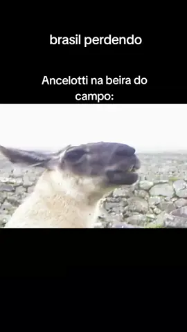 kk #ancelotti #memeedit #viraliza #lhama #brasil 