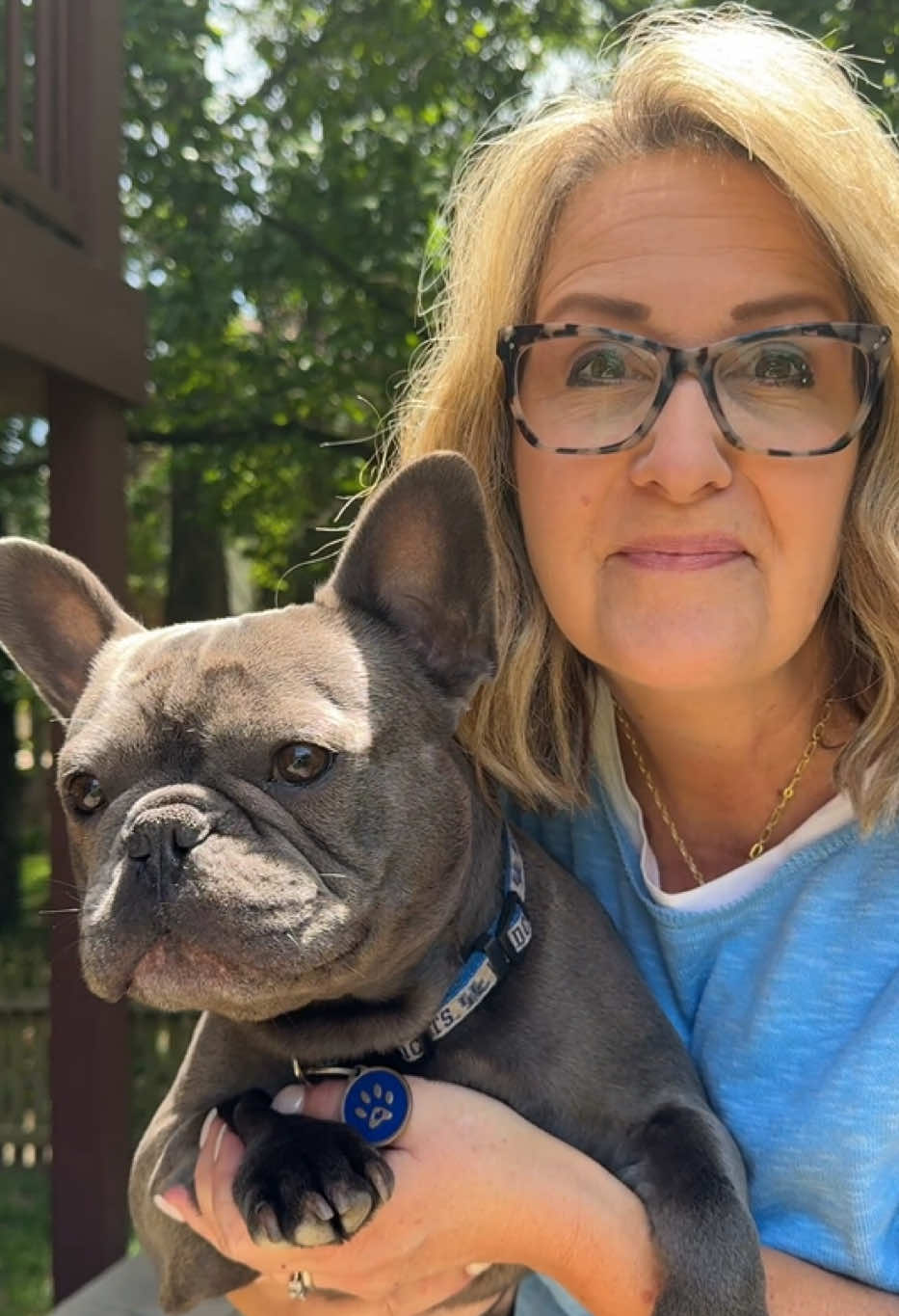 If you've been looking for a clean, healthy, organic supplement for your dog, Badlands Ranch Super20 is the one!! Support your pup's good health! #dogsupplements #dogsupplement #bandlandsranch #katherineheigl #omega3 #doghealth #doghealthtips #frenchie #frenchbulldog #dogsoftiktok 