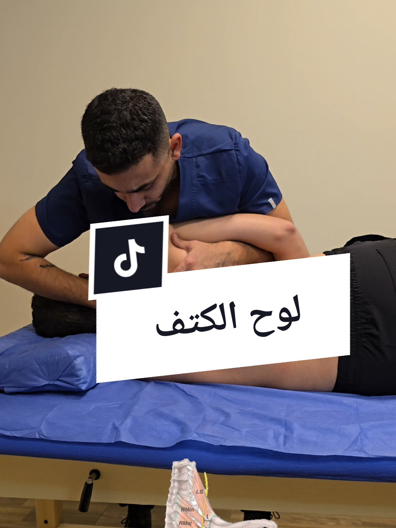 Scapular Mobility / حركة لوح الكتف #scapula #scapularmobility #shoulderworkout #shoulderpain #shoulder #العلاج_اليدوي #العمود_الفقري #علاج_طبيعي #osteopathy  #creatorsearchinsights 