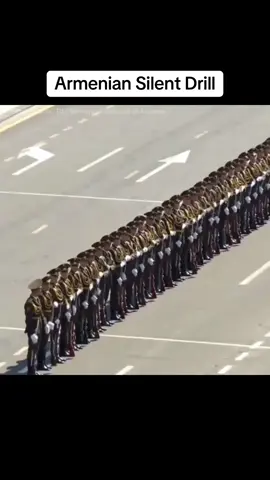 Armenian Military Silent Drill @TikTok Nigeria @TikTok its a parade ⚠️Not a real rifle⚠️ #paradeallaroundtheworld #militaryparade #armeniantiktok #armenianmilitary #theworldarmedforces 