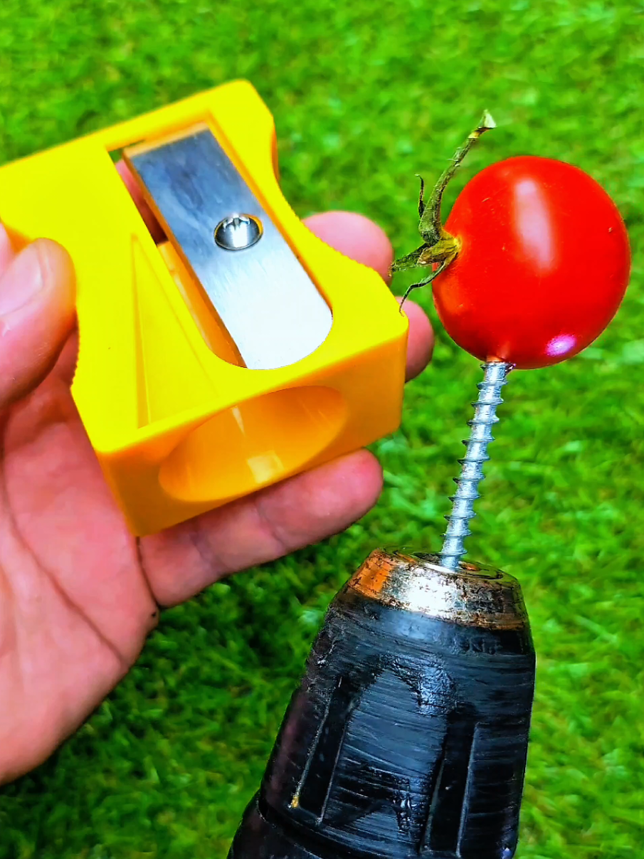 Sharpener vs Tomato 😲