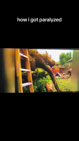 #fyp #motivate #ifbb #inspire #bodybuilder #Fitness #fitnessmotivation #wheelchair #disability #olympian 