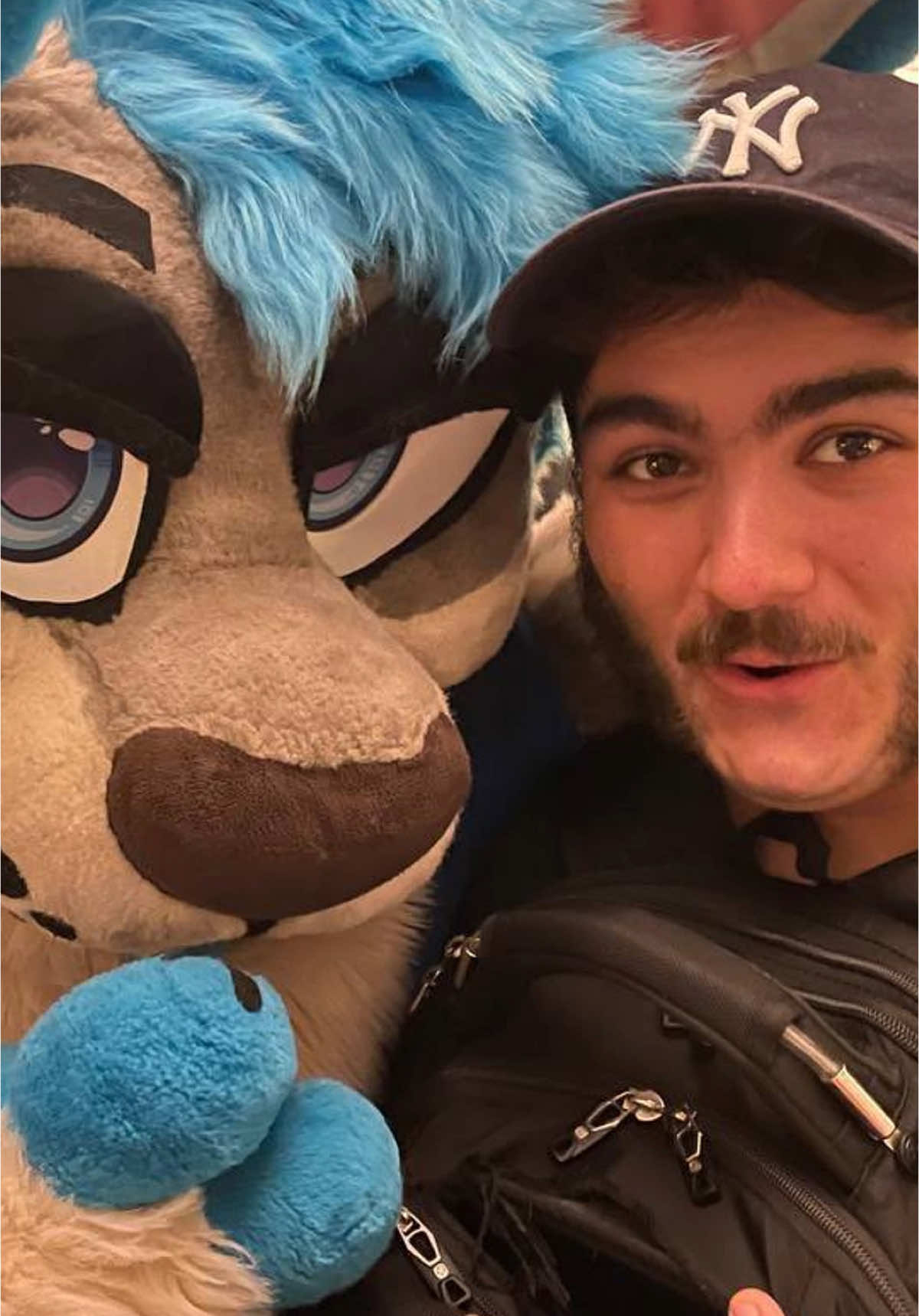 Is Jschlatt a FURRY? | #furry #jschlatt #rammy #furrymeme #furryfandom #furries