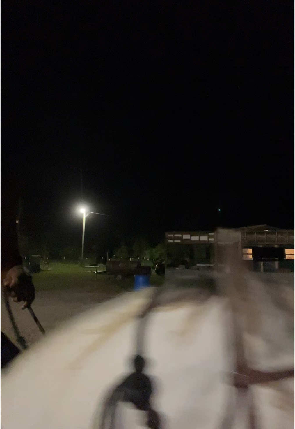 save a horseee