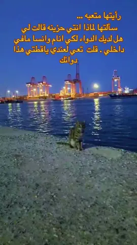 #نامي هون #fypシ゚viral🖤tiktok #fouryou #شعب_الصيني_ماله_حل😂😂 #مالي_خلق_احط_هاشتاقات #بحر #قطتي_الجميلة #قط #قطتي_🐈❤ #