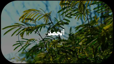 ان ربي لسميع الدعاء محمد صديق المنشاوي #قران_كريم #محمد_صديق_المنشاوي #اللهم_صل_على_محمد_وآل_محمد #اكتب_شي_توجر_عليه #foryou #quran #fyp 