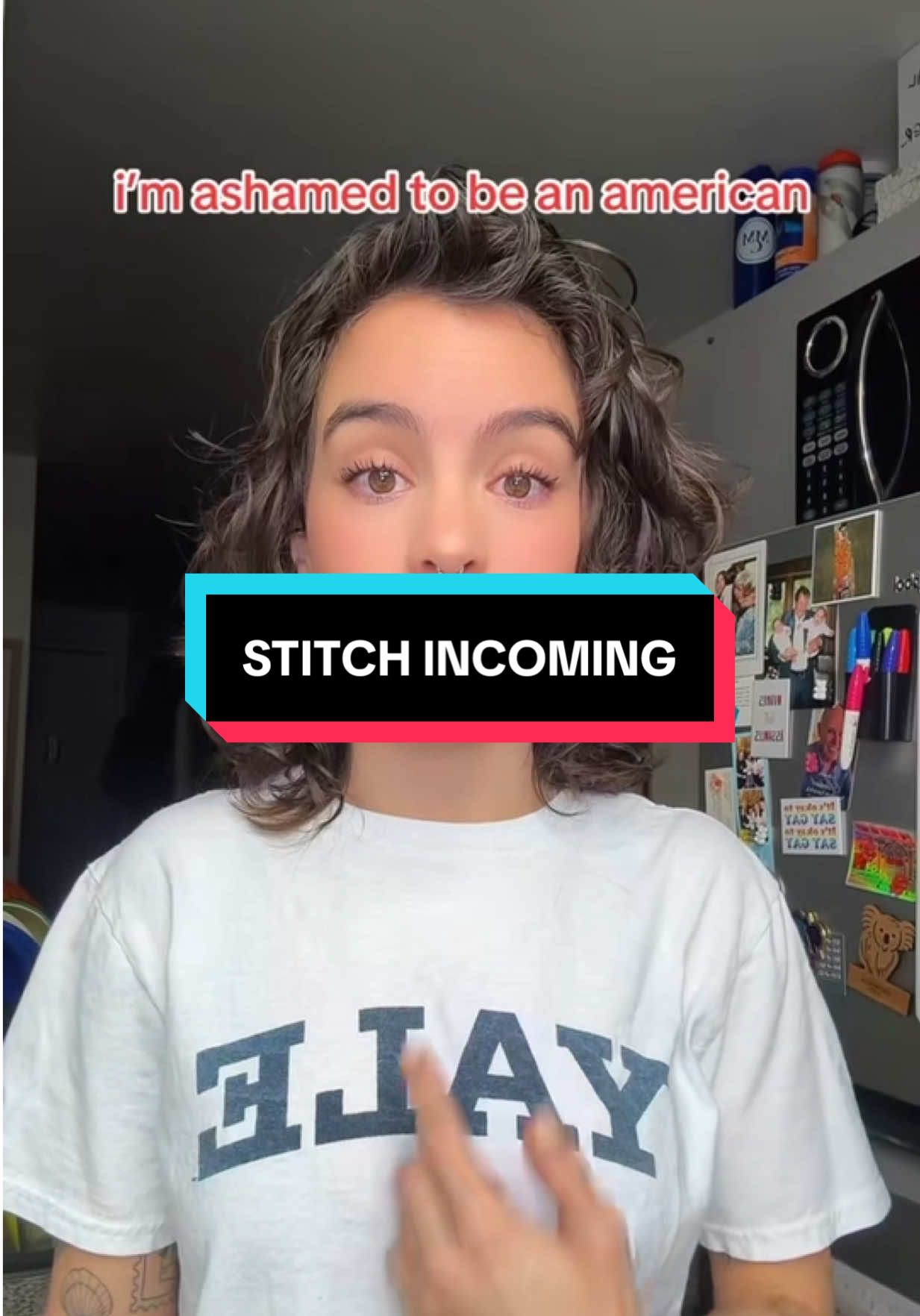 #stitch with @Sadeif you hate it here, leave. #fyp #foryoupage #memorialday #usa #leave #comedy 