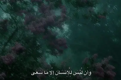 #محمد_صديق_المنشاوي #المنشاوي #quran #fyp #🎧 