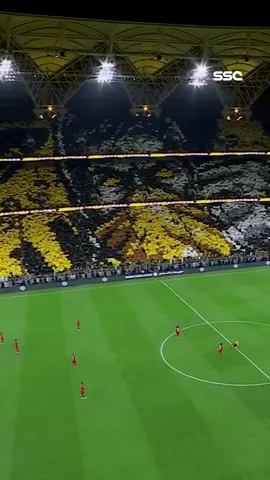 ليلة خالدة لا تنسى ، مبروك يا عميد💛🏆🖤