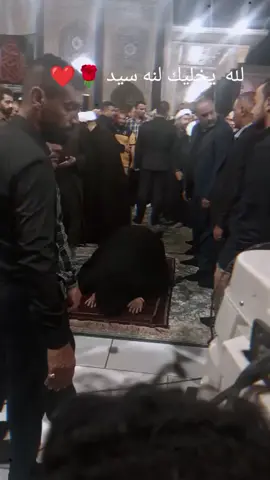 #سيد 
