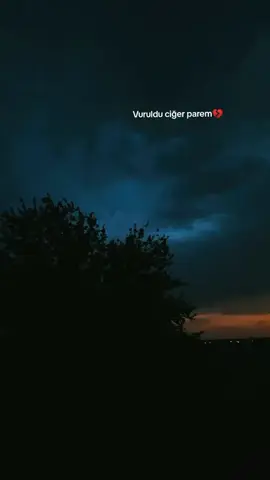 Cibran'a, bunca dert canını  yakmıyor mu,  diye sorduklarında şöyle demişti: 