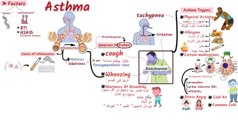 ايه خطة علاج حساسية الصدر مع شرح امثله الادويه  ؟  جزء من محاضرات  ال Respiratory problems  من كورس التدريب الصيدلي الشامل  لينك الكورس من هنا : https://adrenalineplatform.com/bundles/otc.antibiotics7