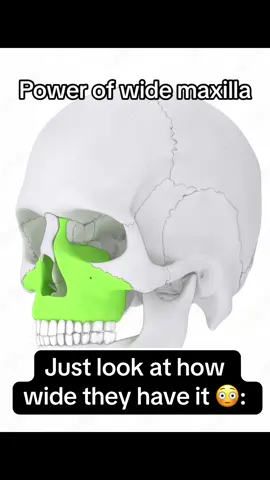 Wide maxilla and how to develop it #looks #looksmaxing #looksmax #mewing #mewingshop #mogged #GlowUp #SelfImprovement #mew #transformation #jordanbarrett #GlowUp #expander #improve #chico 