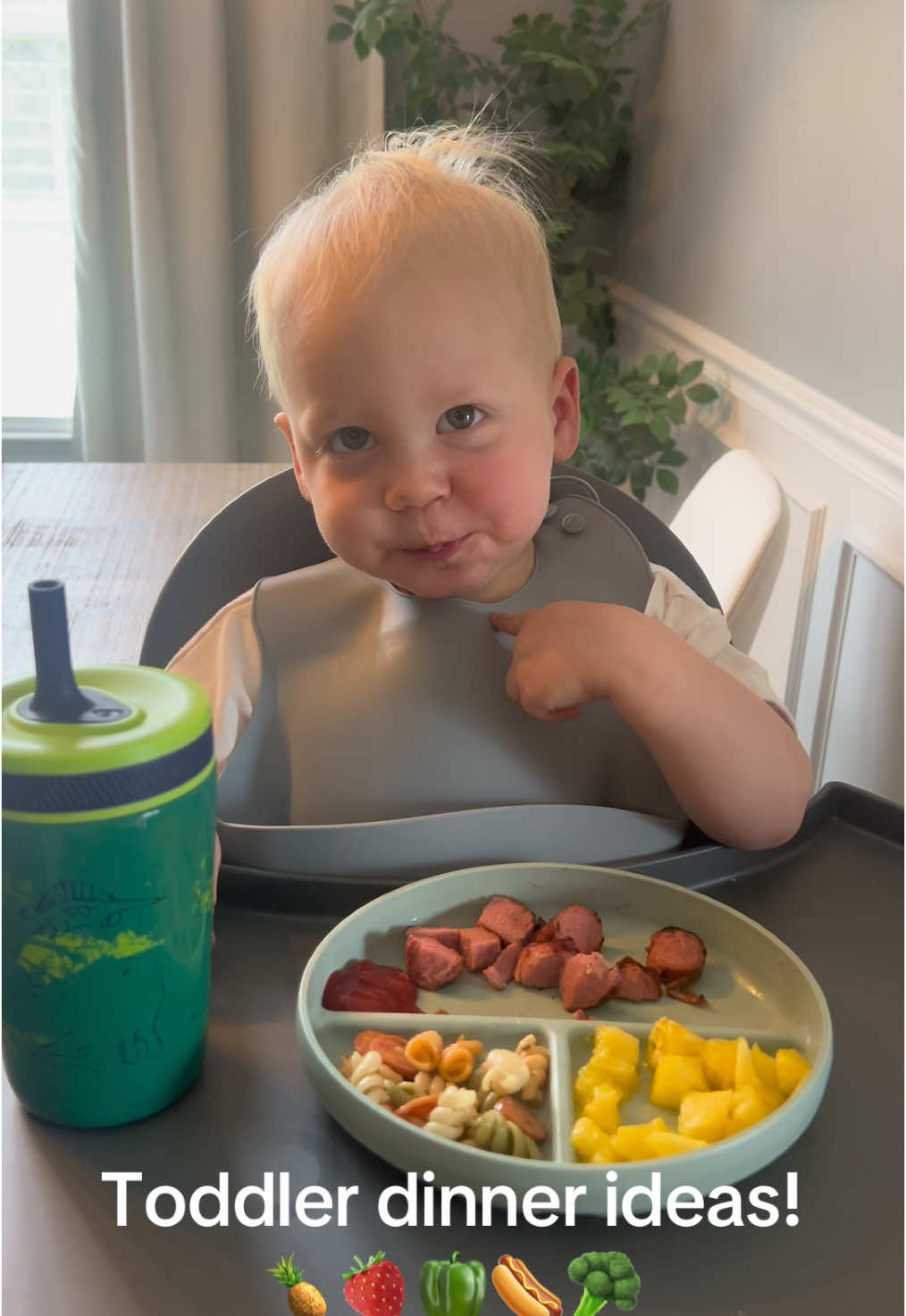 It’s hard to come up with meals! Here’s some ideas🥰 #toddlermeals #mealideas #toddlerfood #toddlerfoodideas #DinnerIdeas #blwrecipes #toddlermealideas 