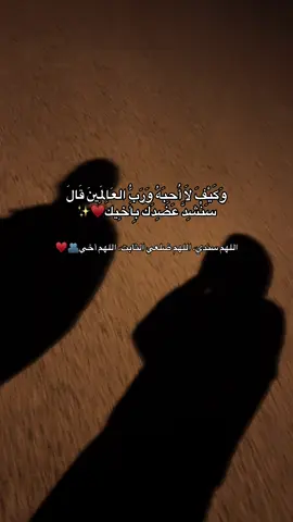 #منشن 🥹♥️ #اكسبلورexplore #اخ #اخي #اخي_سندي #سنشد_عضدك_بأخيك_💙 #viraltiktok 