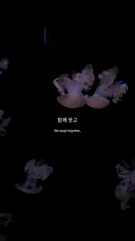#jungkook #btsarmy #stillwithyou #lyrics #korean 