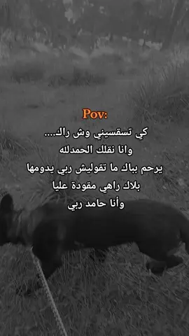 #شعب_الصيني_ماله_حل😂😂 #اقتباسات_عبارات_خواطر 