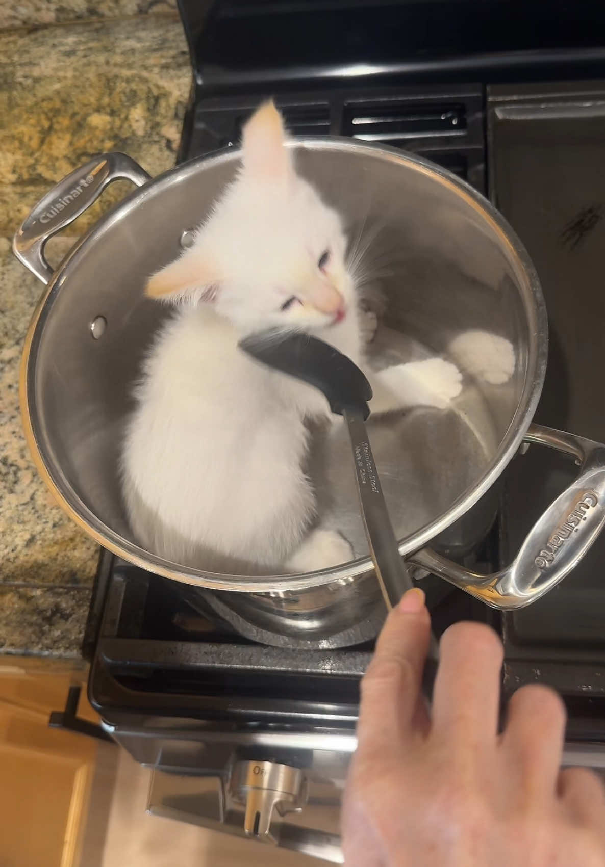 #overcooked 