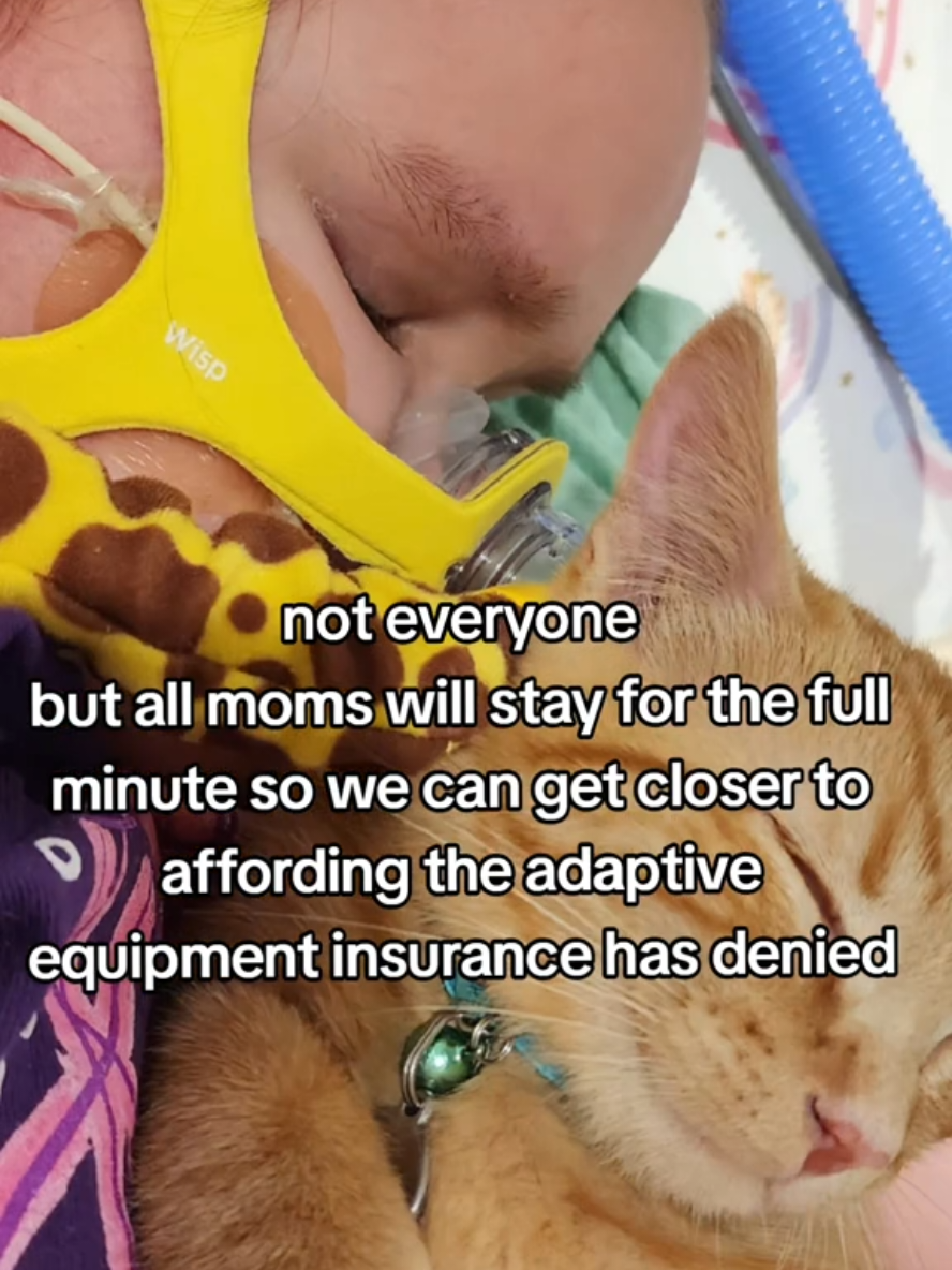 please let this work! RBM has left Aubrey in a full body flaccid paralysis. insurance denied our quality of life equipment needs. please stay and watch or help us share her fundraiser in our Linktree 🤞🏻🤞🏻🤞🏻 #support #heregoesnothing #insurance #denial #raredisease #equipment #fundraiser #funding #medical #orangecat #cat #catsoftiktok #community #help #mom #momsover30 #million #millionactsoflove #taylorswift #accessibility 