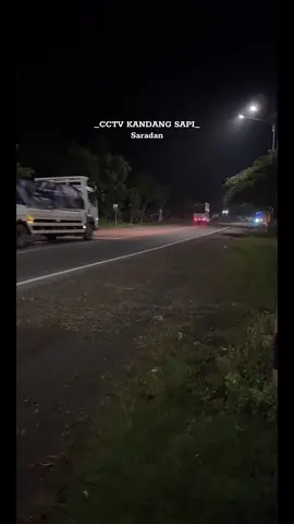 W7373PRINGODANI @𝙔𝙪𝙙𝙚𝙭𝘿𝙚𝙡𝙞𝙣𝙖 #cctvbisjatimrace02 #sumbergroup #skloverz #lumbalumbadarat🐬 #sugengrahayu #sugengrahayugroup #busmaniacommunity ##fyp @💫Diki Cavarela PringPetong💦 @Official_w7373up 