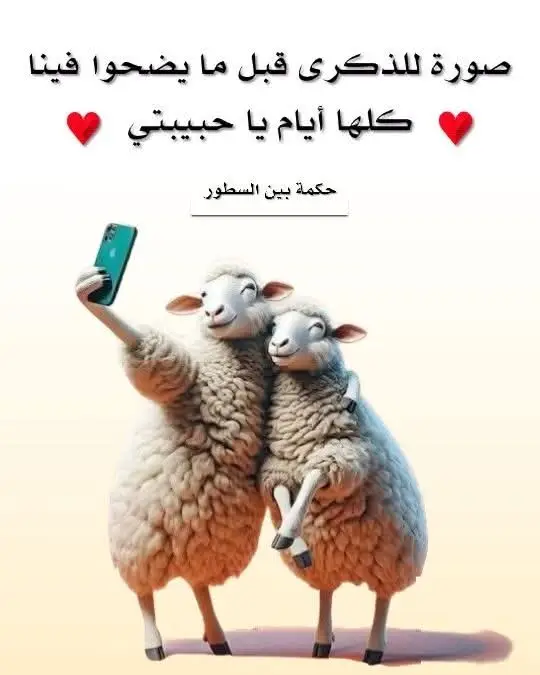 #ياااااحبيبي 🐑❤️🐏🤣🤣🤣🤣