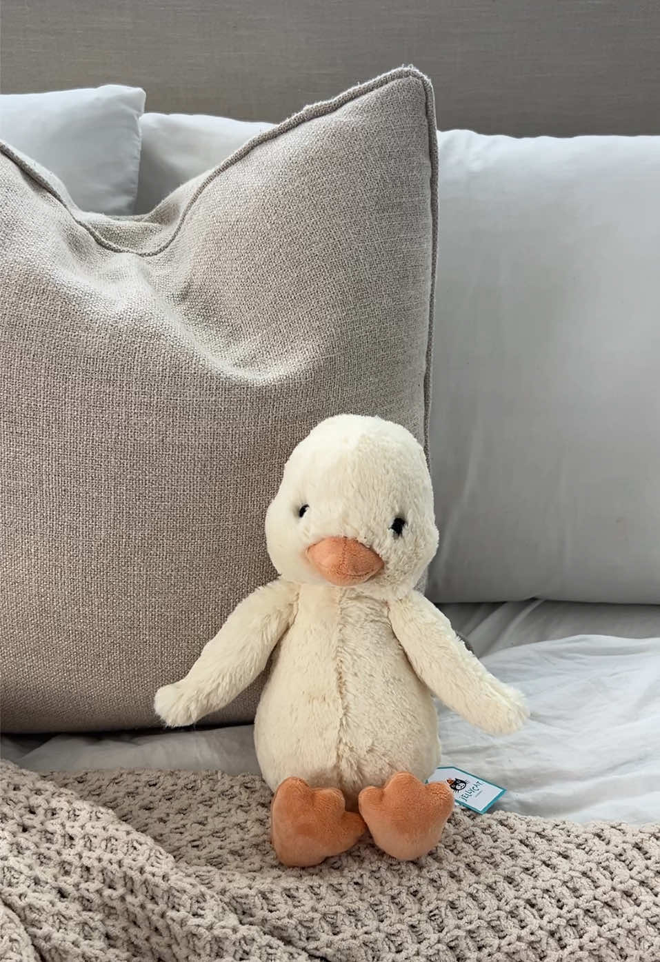 I have been wanting this jellycat for so long! 🌼🪿☁️ #jellycat #jellycats #jellycatcollection #jellycathaul 