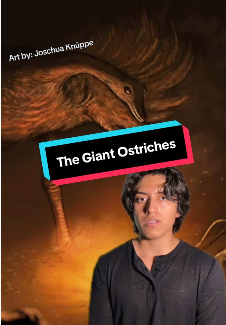 #prehistoric #animal #nature #horror #birds 