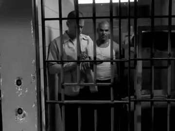 كفل زينب!#سكوفيلد #viral #prisonbreak #fyp #foryou #شعب_الصيني_ماله_حل😂😂 #مالي_خلق_احط_هاشتاقات #سكوفيلد 