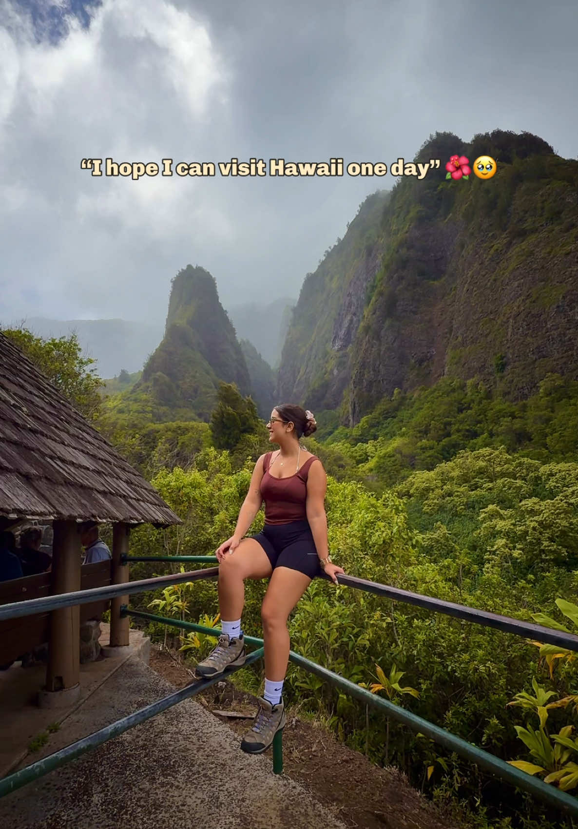 It’s a dream come true #hawaii #manifesting #maui #liloandstitch 