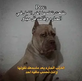 #fyyyyyyyyyyyyyyyyyyy #الشعب_الصيني_ماله_حل😂😂 #fypシ゚viral #رياكشن #اكسبلورexplore #foryoupage #fyp #اكسبلورexplore 