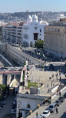 #algerie🇩🇿 