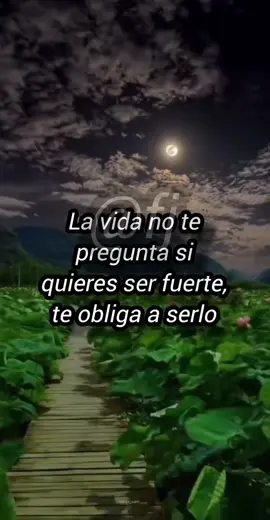 sé fuerte #tiktok #reflexionespositivas #motivacional #teamworktrend 
