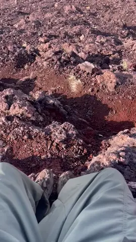 yang lagi cari mentahan buat prank temen ke gunung Slamet😃 #mentahanvideo #mentahan #gunung #gunungindonesia #atapjateng #slamet #slametmountain #fyp #fypage #foryou #masukberanda 