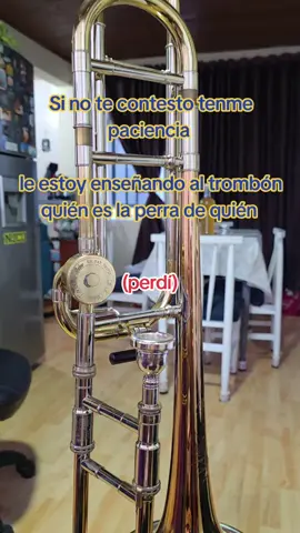 #trombon #musica #imback 