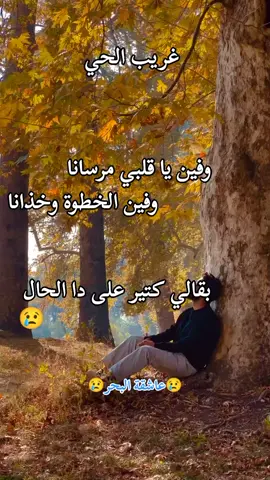 #طربيات_الزمن_الجميل_🎼🎶🎻♥️🌹 #fouryoupage #viralditiktok #trendtiktik #explore🌟🔥💯 