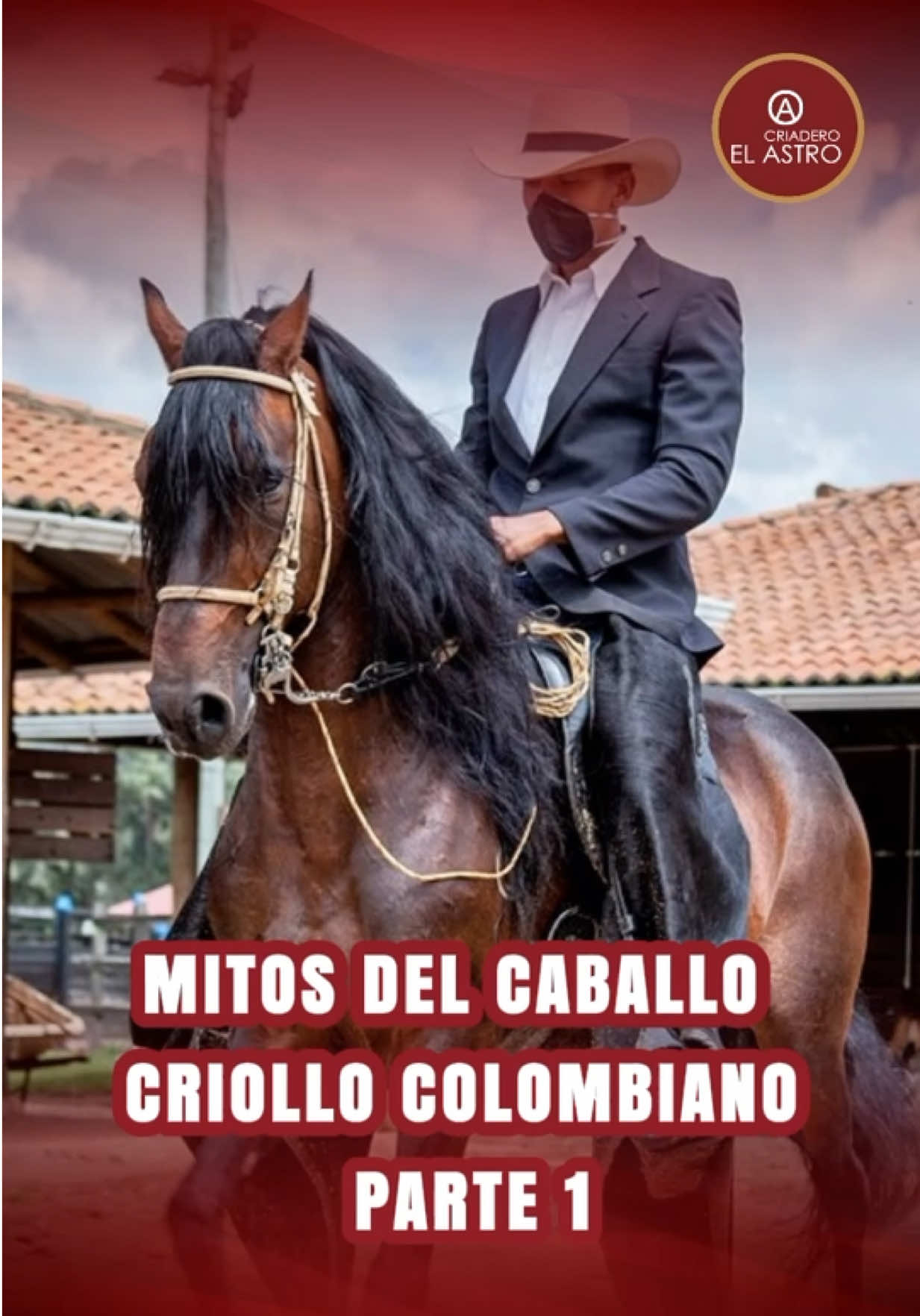 😱¿Seguro que sabes todo sobre el Caballo Criollo Colombiano?🇨🇴 🤯 Estos 4 mitos te pueden sorprender… ¡y hoy los rompemos juntos! 👏🏻 1️⃣ “Si levanta mucho las manos, es mejor” ❌ Falso: No es un show de altura, sino de naturalidad, ritmo y comodidad. 2️⃣ “Es una raza nerviosa, no apta para niños” ❌ Error: Muchos criollos son nobles y mansos, ideales para aprender en todas las edades. 3️⃣ “Si suena duro en la tabla, es bueno” ❌ Cuidado: El sonido engaña… lo que importa es la calidad del andar. 4️⃣ “El fino solo sirve para la pista” ❌ Mentira: También trabaja en finca y campo sin perder su andar.  🤔¿Cuál de estos mitos creías tú? Comenta abajo 💬 y comparte este video con tus amig@s 🔁🐎 😁 Espera Parte 2 próximamente🔜 #viveapasofino #aprendedelccc #pasofinocolombiano #trochapuracolombiana #trochaygalopecolombiano #troteygalopecolombiano #exposicionequinagradoa #exposiconequinagradob #campeonjoven #caballoscampeones 