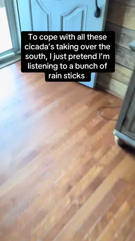 When life gives you cicadas, make rainstick ASMR. 😌🌧️ #fyp #cicadaseason #naturetherapy #soundbathvibes