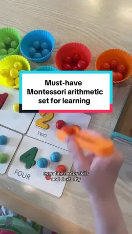 This Montessori kit makes learning fun and simple.  #montessori #toddlerlearning #toddlertoys #educationaltoy #colorsorting #toddlersoftiktok #tiktokmademebuyit #homeschool #prek @Buyture Toys 