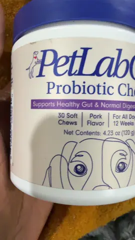 Dealing with doggy skin issues? Listen to this #dogallergies #dogskin #petlabco #petlabpartner #ad #dogparents #itchydog