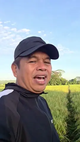 Salam untuk semua, sehat dan terus melangkah serta bisa memberi karya terbaik